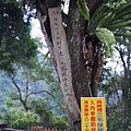 P1090748.JPG