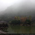 IMG_4547.JPG