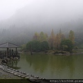 P1150731.JPG