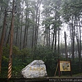 P1150786.JPG