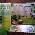P1150813.JPG