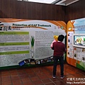 P1150815.JPG