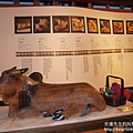 P1150858.JPG