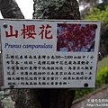 P1160568.JPG