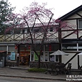 P1160571.JPG