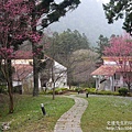 P1160606.JPG