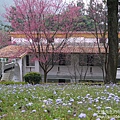 P1160615.JPG