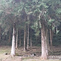 P1160627.JPG
