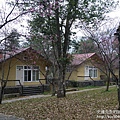 P1160637.JPG