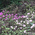 P1160647.JPG