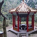 P1160646.JPG