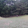 P1160650.JPG