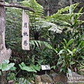 P1160671.JPG