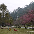 P1160684.JPG