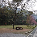 P1160679.JPG