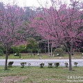 P1160697.JPG