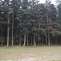 P1160699.JPG