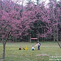 P1160704.JPG