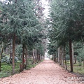 P1160750.JPG