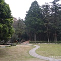 P1160772.JPG