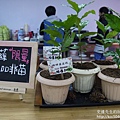P1160782.JPG