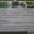 P1160821.JPG