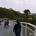 P1160831.JPG