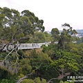 P1160835.JPG