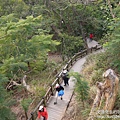 P1160833.JPG