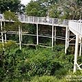 P1160838.JPG
