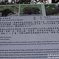 P1160845.JPG