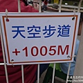 P1160851.JPG