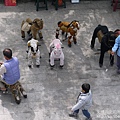 P1160866.JPG