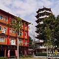 P1160873.JPG