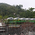 P1160508.JPG