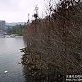 P1160518.JPG
