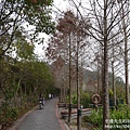 P1160511.JPG