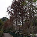P1160516.JPG