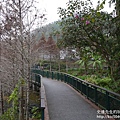 P1160526.JPG