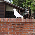 P1160802.JPG