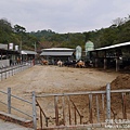 P1160923.JPG