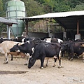 P1160924.JPG