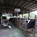 P1160949.JPG