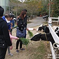 P1160950.JPG