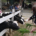 P1160954.JPG