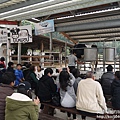 P1160974.JPG