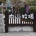 P1160975.JPG