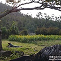 P1170060.JPG