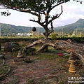 P1170063.JPG