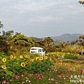 IMG_5536.JPG